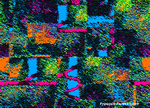 LUCILLE 3.gif